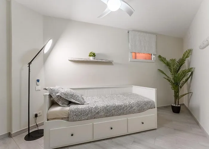 In The Orlando Complex *